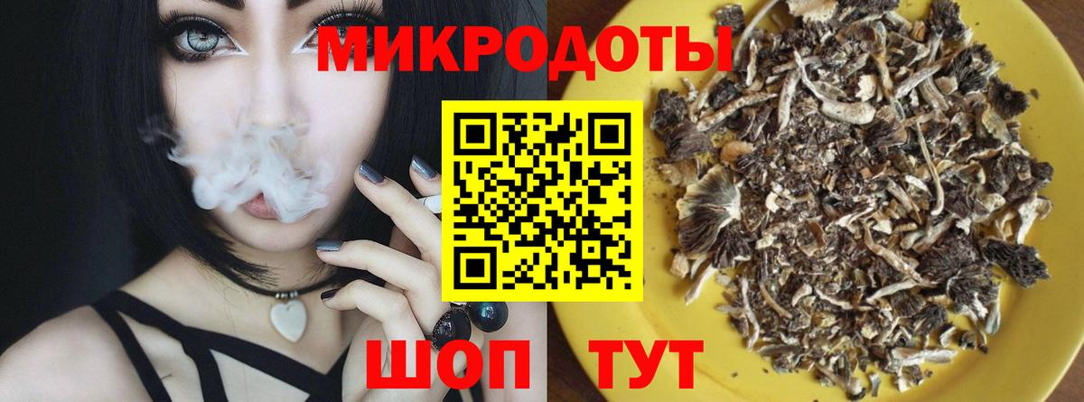 Галлюциногенные грибы прущие грибы  Вход с VPN  Богданович 
