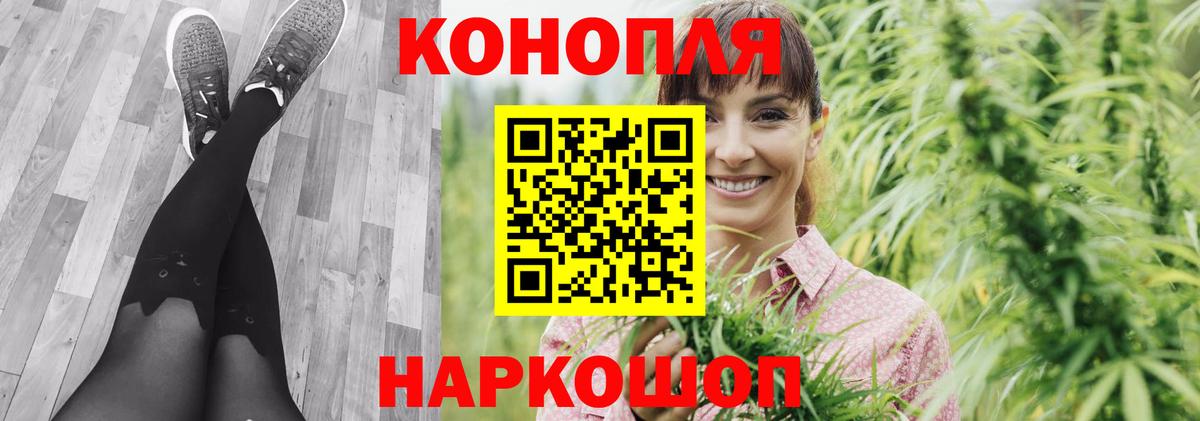 Шишки марихуана индика Богданович